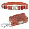 Frisco Outdoor Heathered Nylon Collar, Flamepoint Orange, Small - Neck: 10-14-in, Width: 5/8-in + Dog Leash, Flamepoint Orange, Small - Length: 6-ft, Width: 5/8-in