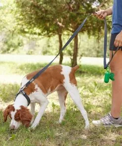 Frisco Outdoor Heathered Nylon Collar, Midnight Black, LG, Neck: 18 -26-in, Width: 1-in + Dog Leash, Midnight Black, LG - Length: 6-ft, Width: 1-in -The Frisco Store 319124 PT7. SY630 V1631156780