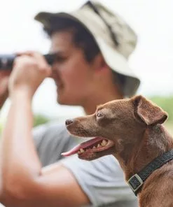 Frisco Outdoor Heathered Nylon Collar, Midnight Black, XS, Neck: 8-12-in, Width: 5/8th -in + Dog Leash, Midnight Black, SM - Length: 6-ft, Width: 5/8-in -The Frisco Store 319130 PT4. SY630 V1631146590