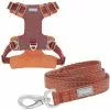 Frisco Outdoor Lightweight Ripstop Nylon Harness, Flamepoint Orange, Large, Neck: 18 to 28-in, Girth 24 to 34-in + Heathered Dog Leash, Flamepoint Orange, Large - Length: 6-ft, Width: 1-in -The Frisco Store 319152 MAIN. SY630 V1631147795