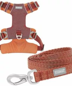 Frisco Outdoor Lightweight Ripstop Nylon Harness, Flamepoint Orange, Small, Neck: 13 to 19-in, Girth: 16 to 22-in + Heathered Dog Leash, Flamepoint Orange, Small - Length: 6-ft, Width: 5/8-in