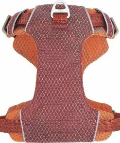Frisco Outdoor Lightweight Ripstop Nylon Harness, Flamepoint Orange, Small, Neck: 13 to 19-in, Girth: 16 to 22-in + Heathered Dog Leash, Flamepoint Orange, Small - Length: 6-ft, Width: 5/8-in -The Frisco Store 319160 PT2. SY630 V1631151086