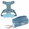 Frisco Outdoor Lightweight Ripstop Nylon Harness, River Blue, Extra Large, Neck: 22 to 34-in, Girth: 32 to 44-in + Heathered Dog Leash, River Blue, Large - Length: 6-ft, Width: 1-in -The Frisco Store 319164 MAIN. SY630 V1631153500