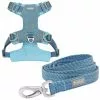 Frisco Outdoor Lightweight Ripstop Nylon Harness, River Blue, Large, Neck: 18 to 28-in, Girth 24 to 34-in + Heathered Dog Leash, River Blue, Large - Length: 6-ft, Width: 1-in -The Frisco Store 319168 MAIN. SY630 V1631141787
