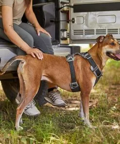 Frisco Outdoor Lightweight Ripstop Nylon Harness, Storm Gray, Extra Large, Neck: 22 to 34-in, Girth: 32 to 44-in + Heathered Dog Leash, Midnight Black, LG - Length: 6-ft, Width: 1-in -The Frisco Store 319196 PT5. SY630 V1631152871