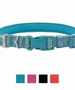 Frisco Outdoor Nylon Reflective Comfort Padded Collar, Bayou Teal, Extra Small, Neck: 8-12-in, Width: 5/8th-in + Dog Leash, Bayou Teal, Small - Length: 6-ft, Width: 5/8-in -The Frisco Store 319212 PT1. SY630 V1631153198