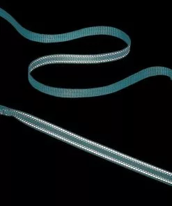 Frisco Outdoor Nylon Reflective Comfort Padded Collar, Bayou Teal, Extra Small, Neck: 8-12-in, Width: 5/8th-in + Dog Leash, Bayou Teal, Small - Length: 6-ft, Width: 5/8-in -The Frisco Store 319212 PT7. SY630 V1631153489