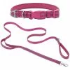 Frisco Outdoor Nylon Reflective Comfort Padded Collar, Boysenberry Purple, Extra Small, Neck: 8-12-in, Width: 5/8th -in + Dog Leash, Boysenberry Purple, Small - Length: 6-ft, Width: 5/8-in 2 Frisco Outdoor Nylon Reflective Comfort Padded Collar, Boysenberry Purple, Extra Small, Neck: 8-12-in, Width: 5/8th -in + Dog Leash, Boysenberry Purple, Small - Length: 6-ft, Width: 5/8-in -The Frisco Store 319220 MAIN. SY630 V1631148085