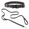 Frisco Outdoor Nylon Reflective Comfort Padded Collar, Midnight Black, MD - Neck: 14-20-in, Width: 3/4-in + Dog Leash, Midnight Black, MD - Length: 6-ft, Width: 3/4-in 2 Frisco Outdoor Nylon Reflective Comfort Padded Collar, Midnight Black, MD - Neck: 14-20-in, Width: 3/4-in + Dog Leash, Midnight Black, MD - Length: 6-ft, Width: 3/4-in -The Frisco Store 319230 MAIN. SY630 V1631154738