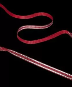 Frisco Outdoor Nylon Reflective Comfort Padded Collar, Sunset Orange, Medium - Neck: 14-20-in, Width: 3/4-in + Dog Leash, Sunset Orange, Medium - Length: 6-ft, Width: 3/4-in -The Frisco Store 319240 PT7. SY630 V1631151974