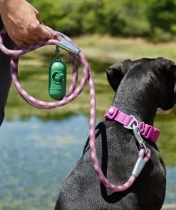 Frisco Outdoor Premium Ripstop Nylon Harness with Pocket, Boysenberry Purple, Extra Large, Neck: 22 to 34-in, Girth: 32 to 44-in + Waterproof Stinkproof PVC Rope Leash, Shadow Purple, 6 Ft. -The Frisco Store 319272 PT8. SY630 V1631206273