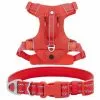 Frisco Outdoor Premium Ripstop Nylon Harness with Pocket, Sunset Orange, Large, Neck: 18 to 28-in, Girth 24 to 34-in + Reflective Comfort Padded Dog Collar, Sunset Orange, Large, Neck: 18 -26-in, Width: 1-in -The Frisco Store 319314 MAIN. SY630 V1630620992