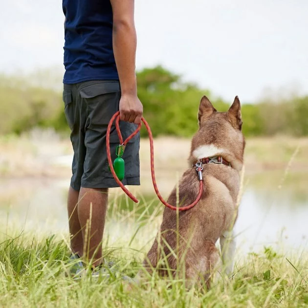 Frisco Outdoor Premium Ripstop Nylon Harness with Pocket, Sunset Orange, Large, Neck: 18 to 28-in, Girth 24 to 34-in + Waterproof Stinkproof PVC Rope Leash, Sunset Orange, 6 Ft. 11 Frisco Outdoor Premium Ripstop Nylon Harness with Pocket, Sunset Orange, Large, Neck: 18 to 28-in, Girth 24 to 34-in + Waterproof Stinkproof PVC Rope Leash, Sunset Orange, 6 Ft. - Image 9