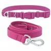 Frisco Outdoor Solid Textured Waterproof Stink Proof PVC Collar, Boysenberry Purple, Small - Neck: 10½14-in, Width: 5/8-in + Dog Leash, Boysenberry Purple, Small - Length: 6-ft, Width: 5/8-in -The Frisco Store 319338 MAIN. SY630 V1631159770