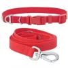 Frisco Outdoor Solid Textured Waterproof Stink Proof PVC Collar, Flamepoint Orange, Medium - Neck: 14½20-in, Width: 3/4-in + Dog Leash, Sunset Orange, Medium - Length: 6-ft, Width: 3/4-in -The Frisco Store 319344 MAIN. SY630 V1631141790