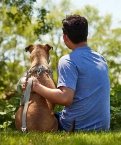 Frisco Outdoor Solid Textured Waterproof Stink Proof PVC Collar, Storm Gray, Medium - Neck: 14½20-in, Width: 3/4-in + Dog Leash, Storm Gray, Medium - Length: 6-ft, Width: 3/4-in 17 Frisco Outdoor Solid Textured Waterproof Stink Proof PVC Collar, Storm Gray, Medium - Neck: 14½20-in, Width: 3/4-in + Dog Leash, Storm Gray, Medium - Length: 6-ft, Width: 3/4-in -The Frisco Store 319352 PT7. SY630 V1631154088