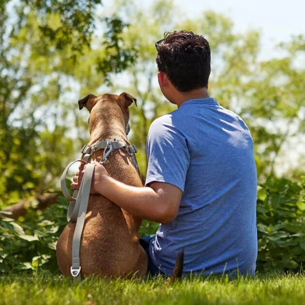 Frisco Outdoor Solid Textured Waterproof Stink Proof PVC Collar, Storm Gray, Medium - Neck: 14½20-in, Width: 3/4-in + Dog Leash, Storm Gray, Medium - Length: 6-ft, Width: 3/4-in 10 Frisco Outdoor Solid Textured Waterproof Stink Proof PVC Collar, Storm Gray, Medium - Neck: 14½20-in, Width: 3/4-in + Dog Leash, Storm Gray, Medium - Length: 6-ft, Width: 3/4-in - Image 8