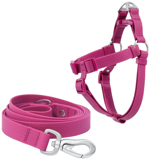 Frisco Outdoor Solid Textured Waterproof Stink Proof PVC Harness, Boysenberry Purple, Large, Neck: 19 to 27-in, Girth: 23 to 36-in + Dog Leash, Boysenberry Purple, Large - Length: 6-ft, Width: 1-in 3 Frisco Outdoor Solid Textured Waterproof Stink Proof PVC Harness, Boysenberry Purple, Large, Neck: 19 to 27-in, Girth: 23 to 36-in + Dog Leash, Boysenberry Purple, Large - Length: 6-ft, Width: 1-in