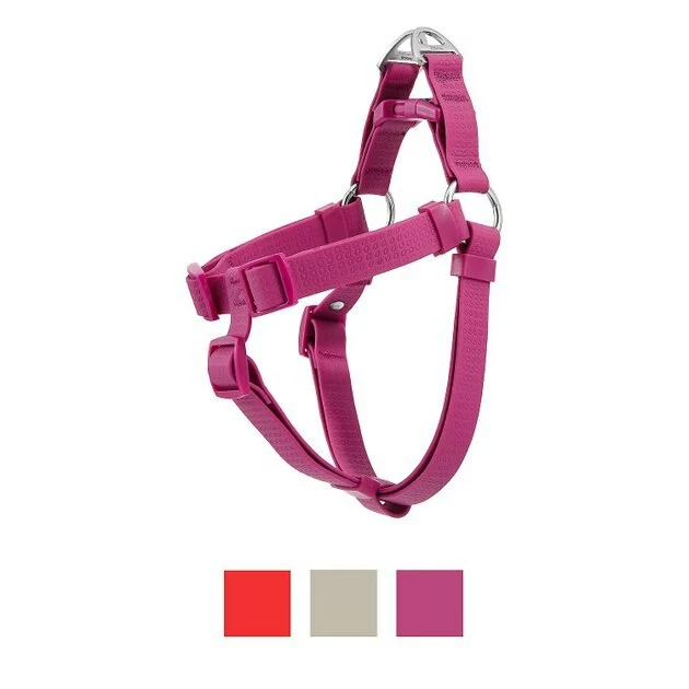 Frisco Outdoor Solid Textured Waterproof Stink Proof PVC Harness, Boysenberry Purple, Large, Neck: 19 to 27-in, Girth: 23 to 36-in + Dog Leash, Boysenberry Purple, Large - Length: 6-ft, Width: 1-in 4 Frisco Outdoor Solid Textured Waterproof Stink Proof PVC Harness, Boysenberry Purple, Large, Neck: 19 to 27-in, Girth: 23 to 36-in + Dog Leash, Boysenberry Purple, Large - Length: 6-ft, Width: 1-in - Image 2