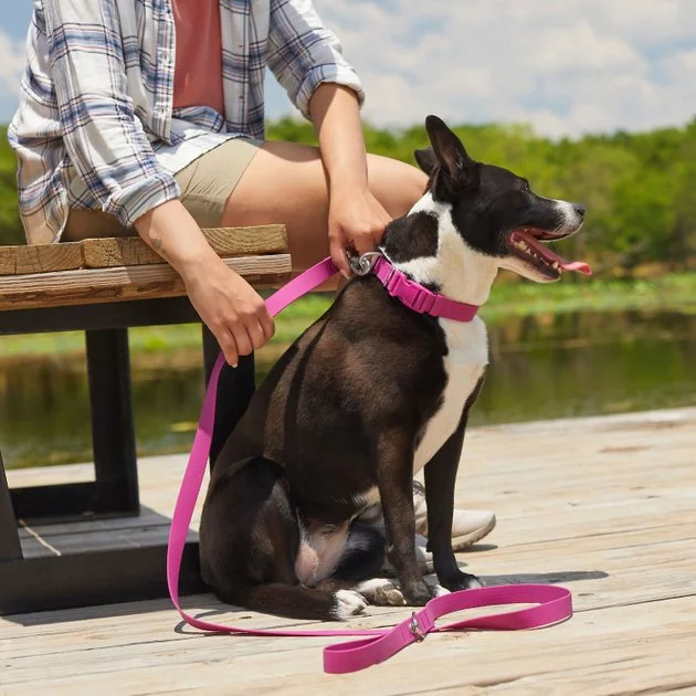 Frisco Outdoor Solid Textured Waterproof Stink Proof PVC Harness, Boysenberry Purple, Large, Neck: 19 to 27-in, Girth: 23 to 36-in + Dog Leash, Boysenberry Purple, Large - Length: 6-ft, Width: 1-in 10 Frisco Outdoor Solid Textured Waterproof Stink Proof PVC Harness, Boysenberry Purple, Large, Neck: 19 to 27-in, Girth: 23 to 36-in + Dog Leash, Boysenberry Purple, Large - Length: 6-ft, Width: 1-in - Image 8