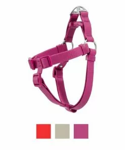 Frisco Outdoor Solid Textured Waterproof Stink Proof PVC Harness, Boysenberry Purple, Small, Neck: 14 to 19-in, Girth: 16 to 23-in + Dog Leash, Boysenberry Purple, Small - Length: 6-ft, Width: 5/8-in -The Frisco Store 319360 PT1. SY630 V1631142083