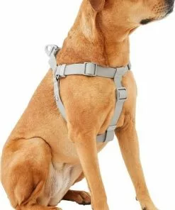 Frisco Outdoor Solid Textured Waterproof Stink Proof PVC Harness, Storm Gray, Medium, Neck: 16 to 22-in, Girth: 19 to 29-in + Dog Leash, Storm Gray, Medium - Length: 6-ft, Width: 3/4-in -The Frisco Store 319366 PT2. SY630 V1631140305