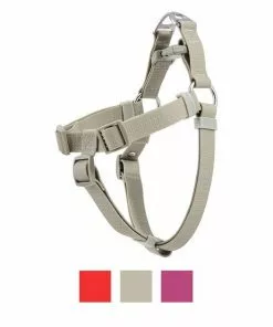 Frisco Outdoor Solid Textured Waterproof Stink Proof PVC Harness, Storm Gray, Small, Neck: 14 to 19-in, Girth: 16 to 23-in + Dog Leash, Storm Gray, Small - Length: 6-ft, Width: 5/8-in 12 Frisco Outdoor Solid Textured Waterproof Stink Proof PVC Harness, Storm Gray, Small, Neck: 14 to 19-in, Girth: 16 to 23-in + Dog Leash, Storm Gray, Small - Length: 6-ft, Width: 5/8-in -The Frisco Store 319368 PT1. SY630 V1631146597