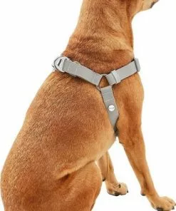 Frisco Outdoor Solid Textured Waterproof Stink Proof PVC Harness, Storm Gray, Small, Neck: 14 to 19-in, Girth: 16 to 23-in + Dog Leash, Storm Gray, Small - Length: 6-ft, Width: 5/8-in 14 Frisco Outdoor Solid Textured Waterproof Stink Proof PVC Harness, Storm Gray, Small, Neck: 14 to 19-in, Girth: 16 to 23-in + Dog Leash, Storm Gray, Small - Length: 6-ft, Width: 5/8-in -The Frisco Store 319368 PT3. SY630 V1631159780