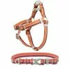 Frisco Outdoor Two Tone Waterproof Stinkproof PVC Harness, Flamepoint Orange, Medium, Neck: 16 to 22-in, Girth: 19 to 29-in + Dog Collar, Flamepoint Orange, Medium - Neck: 14½-20-in, Width: 3/4-in -The Frisco Store 319382 MAIN. SY630 V1631144184
