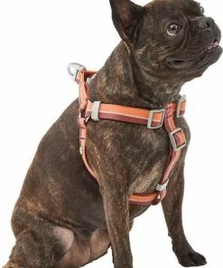 Frisco Outdoor Two Tone Waterproof Stinkproof PVC Harness, Flamepoint Orange,Extra Large, Neck: 22 to 33-in, Girth: 32 to 44-in + Outdoor Two Tone Waterproof Stinkproof PVC Harness, Shadow Purple, Large, Neck: 19 to 27-in, Girth: 23 to 36-in -The Frisco Store 319386 PT2. SY630 V1630617694