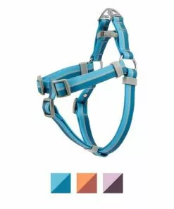 Frisco Outdoor Two Tone Waterproof Stinkproof PVC Harness, River Blue, Medium, Neck: 16 to 22-in, Girth: 19 to 29-in + Dog Collar, River Blue, Medium - Neck: 14½-20-in, Width: 3/4-in -The Frisco Store 319392 PT1. SY630 V1631143576