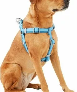 Frisco Outdoor Two Tone Waterproof Stinkproof PVC Harness, River Blue, Small, Neck: 14 to 19-in, Girth: 16 to 23-in + Dog Collar, River Blue, Small - Neck: 10½-14-in, Width: 5/8-in 13 Frisco Outdoor Two Tone Waterproof Stinkproof PVC Harness, River Blue, Small, Neck: 14 to 19-in, Girth: 16 to 23-in + Dog Collar, River Blue, Small - Neck: 10½-14-in, Width: 5/8-in -The Frisco Store 319394 PT2. SY630 V1631160981