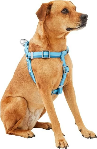 Frisco Outdoor Two Tone Waterproof Stinkproof PVC Harness, River Blue, Small, Neck: 14 to 19-in, Girth: 16 to 23-in + Dog Collar, River Blue, Small - Neck: 10½-14-in, Width: 5/8-in 5 Frisco Outdoor Two Tone Waterproof Stinkproof PVC Harness, River Blue, Small, Neck: 14 to 19-in, Girth: 16 to 23-in + Dog Collar, River Blue, Small - Neck: 10½-14-in, Width: 5/8-in - Image 3