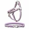Frisco Outdoor Two Tone Waterproof Stinkproof PVC Harness, Shadow Purple, Medium, Neck: 16 to 22-in, Girth: 19 to 29-in + Dog Collar, Boysenberry Purple, Medium - Neck: 14½-20-in, Width: 3/4-in -The Frisco Store 319402 MAIN. SY630 V1631138782