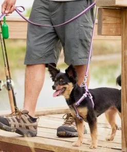 Frisco Outdoor Two Tone Waterproof Stinkproof PVC Harness, Shadow Purple, Small, Neck: 14 to 19-in, Girth: 16 to 23-in + Dog Collar, Boysenberry Purple, Small - Neck: 10½-14-in, Width: 5/8-in -The Frisco Store 319404 PT4. SY630 V1631159502