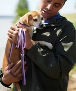 Frisco Outdoor Two Tone Waterproof Stinkproof PVC Harness, Shadow Purple,Extra Large, Neck: 22 to 33-in, Girth: 32 to 44-in + Dog Leash, Boysenberry Purple, Large - Length: 6-ft, Width: 1-in -The Frisco Store 319408 PT8. SY630 V1631145102
