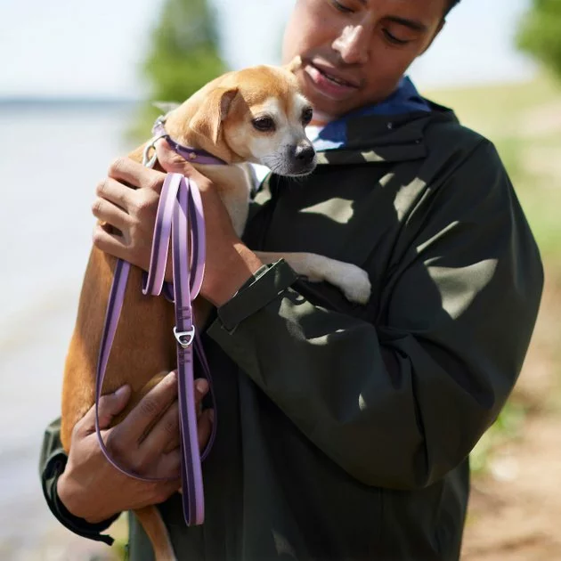 Frisco Outdoor Two Toned Waterproof Stink Proof PVC Collar, Boysenberry Purple, Large, Neck: 18 ½ 26-in, Width: 1-in + Dog Leash, Boysenberry Purple, Large - Length: 6-ft, Width: 1-in 10 Frisco Outdoor Two Toned Waterproof Stink Proof PVC Collar, Boysenberry Purple, Large, Neck: 18 ½ 26-in, Width: 1-in + Dog Leash, Boysenberry Purple, Large - Length: 6-ft, Width: 1-in - Image 8