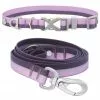 Frisco Outdoor Two Toned Waterproof Stink Proof PVC Collar, Boysenberry Purple, Small - Neck: 10½14-in, Width: 5/8-in + Dog Leash, Boysenberry Purple, Small - Length: 6-ft, Width: 5/8-in