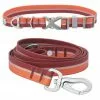 Frisco Outdoor Two Toned Waterproof Stink Proof PVC Collar, Flamepoint Orange, Large, Neck: 18 ½ 26-in, Width: 1-in + Dog Leash, Sunset Orange, Large - Length: 6-ft, Width: 1-in