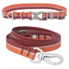 Frisco Outdoor Two Toned Waterproof Stink Proof PVC Collar, Flamepoint Orange, Medium - Neck: 14½20-in, Width: 3/4-in + Dog Leash, Sunset Orange, Medium - Length: 6-ft, Width: 3/4-in 1 Frisco Outdoor Two Toned Waterproof Stink Proof PVC Collar, Flamepoint Orange, Medium - Neck: 14½20-in, Width: 3/4-in + Dog Leash, Sunset Orange, Medium - Length: 6-ft, Width: 3/4-in -The Frisco Store 319422 MAIN. SY630 V1631143574