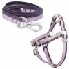 Frisco Outdoor Two Toned Waterproof Stink Proof PVC Leash, Boysenberry Purple, Large - Length: 6-ft, Width: 1-in + Dog Harness, Shadow Purple, Large, Neck: 19 to 27-in, Girth: 23 to 36-in -The Frisco Store 319434 MAIN. SY630 V1631142076