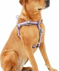 Frisco Outdoor Two Toned Waterproof Stink Proof PVC Leash, Boysenberry Purple, Medium - Length: 6-ft, Width: 3/4-in + Dog Harness, Shadow Purple, Medium, Neck: 16 to 22-in, Girth: 19 to 29-in -The Frisco Store 319436 PT5. SY630 V1631139103