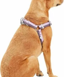 Frisco Outdoor Two Toned Waterproof Stink Proof PVC Leash, Boysenberry Purple, Medium - Length: 6-ft, Width: 3/4-in + Dog Harness, Shadow Purple, Medium, Neck: 16 to 22-in, Girth: 19 to 29-in -The Frisco Store 319436 PT6. SY630 V1631148393