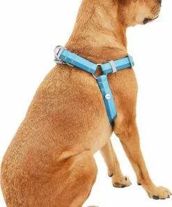 Frisco Outdoor Two Toned Waterproof Stink Proof PVC Leash, River Blue, Large - Length: 6-ft, Width: 1-in + Dog Harness, River Blue, Large, Neck: 19 to 27-in, Girth: 23 to 36-in -The Frisco Store 319440 PT6. SY630 V1631154094