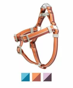 Frisco Outdoor Two Toned Waterproof Stink Proof PVC Leash, Sunset Orange, Large - Length: 6-ft, Width: 1-in + Dog Harness, Flamepoint Orange, Large, Neck: 19 to 27-in, Girth: 23 to 36-in -The Frisco Store 319446 PT4. SY630 V1631139114