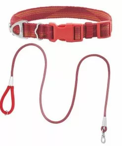 Frisco Outdoor Woven Jacquard Nylon Dog Collar, Flamepoint Orange, Large, Neck: 18 -26-in, Width: 1-in + Ultra Reflective Rope Leash With Padded Handle, Sunset Orange, 6 - ft