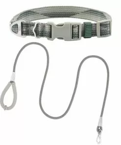 Frisco Outdoor Woven Jacquard Nylon Dog Collar, Forest Green, Medium - Neck: 14-20-in, Width: 3/4-in + Ultra Reflective Rope Leash With Padded Handle, Stone Gray, 6 - ft