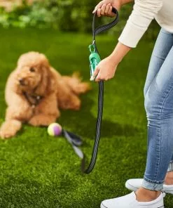 Frisco Traffic Leash with Padded Handles & Poop Bag Dispenser, Black, Length: 4-ft, Width: 1-in + Refill Dog Poop Bags, Scented, 120 count 15 Frisco Traffic Leash with Padded Handles & Poop Bag Dispenser, Black, Length: 4-ft, Width: 1-in + Refill Dog Poop Bags, Scented, 120 count -The Frisco Store 319510 PT4. SY630 V1630629373