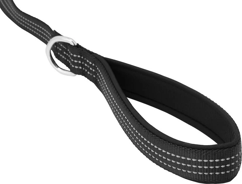 Frisco Traffic Leash with Padded Handles & Poop Bag Dispenser, Black, Length: 6ft, Width: 1-in + Refill Dog Poop Bags, Scented, 120 count 6 Frisco Traffic Leash with Padded Handles & Poop Bag Dispenser, Black, Length: 6ft, Width: 1-in + Refill Dog Poop Bags, Scented, 120 count - Image 4