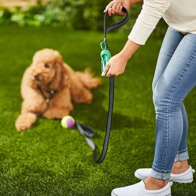 Frisco Traffic Leash with Padded Handles & Poop Bag Dispenser, Black, Length: 6ft, Width: 1-in + Refill Dog Poop Bags, Scented, 120 count 7 Frisco Traffic Leash with Padded Handles & Poop Bag Dispenser, Black, Length: 6ft, Width: 1-in + Refill Dog Poop Bags, Scented, 120 count - Image 5